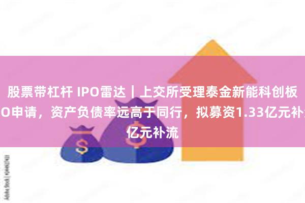 股票带杠杆 IPO雷达｜上交所受理泰金新能科创板IPO申请，资产负债率远高于同行，拟募资1.33亿元补流