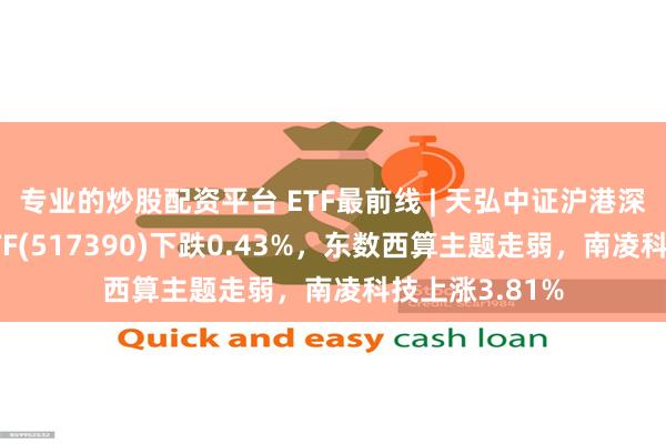 专业的炒股配资平台 ETF最前线 | 天弘中证沪港深云计算产业ETF(517390)下跌0.43%，东数西算主题走弱，南凌科技上涨3.81%