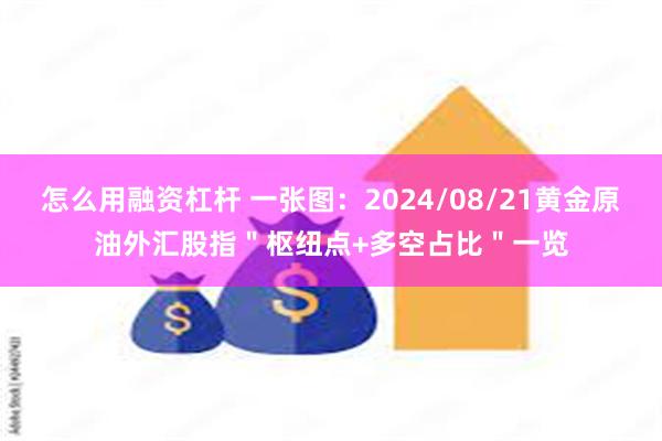 怎么用融资杠杆 一张图：2024/08/21黄金原油外汇股指＂枢纽点+多空占比＂一览