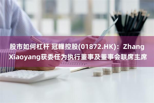 股市如何杠杆 冠轈控股(01872.HK)：Zhang Xiaoyang获委任为执行董事及董事会联席主席