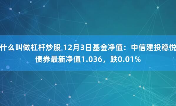 什么叫做杠杆炒股 12月3日基金净值：中信建投稳悦债券最新净值1.036，跌0.01%