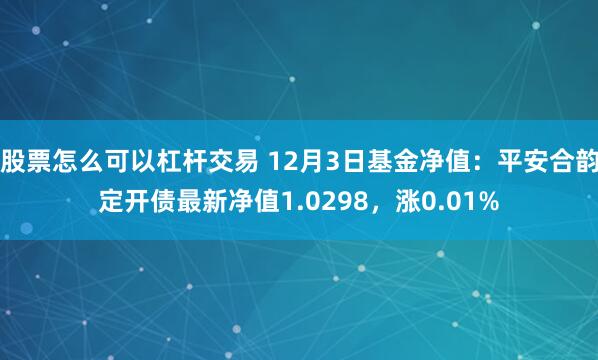 股票怎么可以杠杆交易 12月3日基金净值：平安合韵定开债最新净值1.0298，涨0.01%