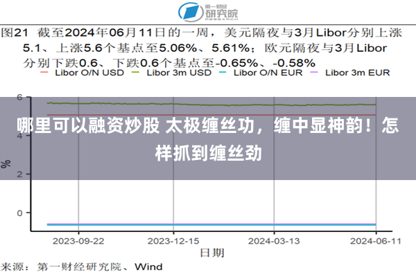 哪里可以融资炒股 太极缠丝功，缠中显神韵！怎样抓到缠丝劲