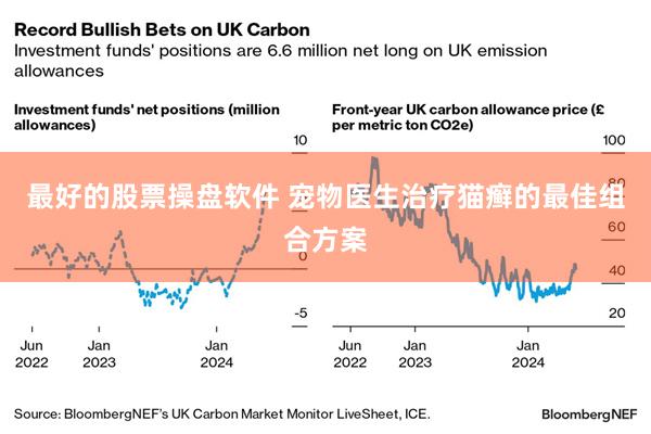 最好的股票操盘软件 宠物医生治疗猫癣的最佳组合方案