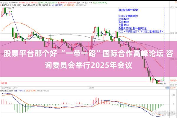 股票平台那个好 “一带一路”国际合作高峰论坛 咨询委员会举行2025年会议